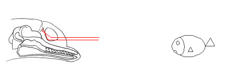 Cliquer sur l'animation pour voir la légende